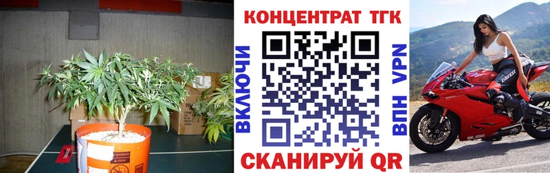 купить закладку  Апшеронск  Дистиллят ТГК жижа 