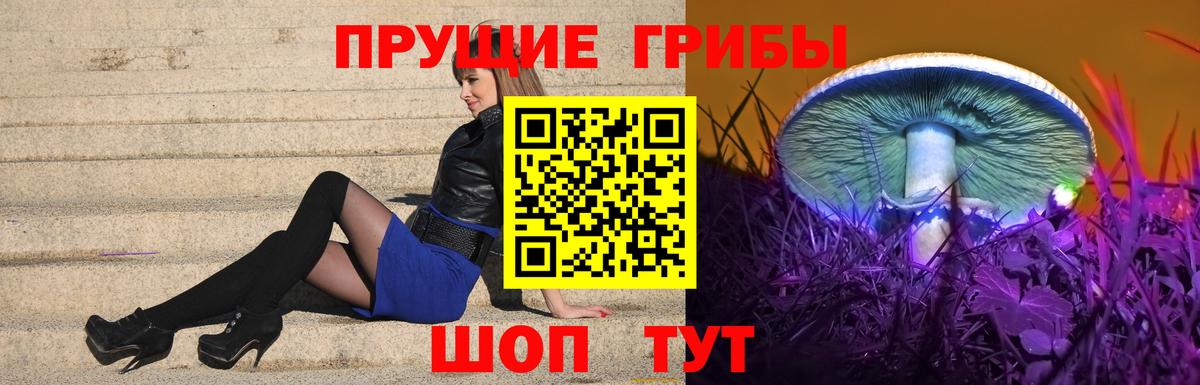 Галлюциногенные грибы мухоморы Апшеронск