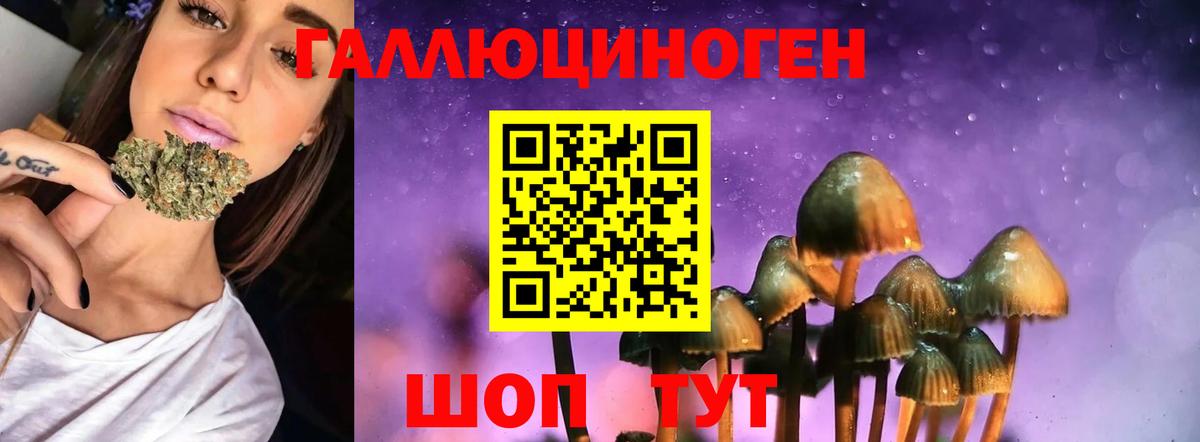 Псилоцибиновые грибы мухоморы Апшеронск
