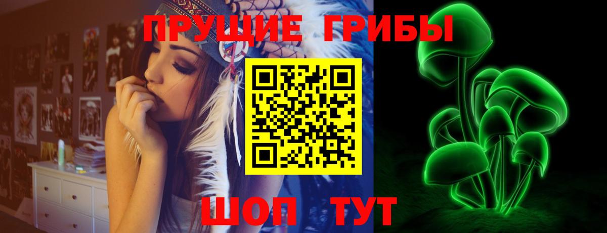 Апшеронск  Галлюциногенные грибы прущие грибы  Вход с VPN 